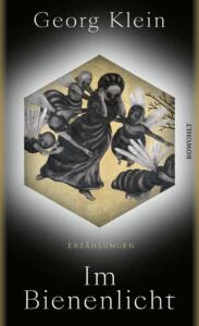 Buchcover Georg Klein, Erzählungen, im Bienenlicht, Rowohlt