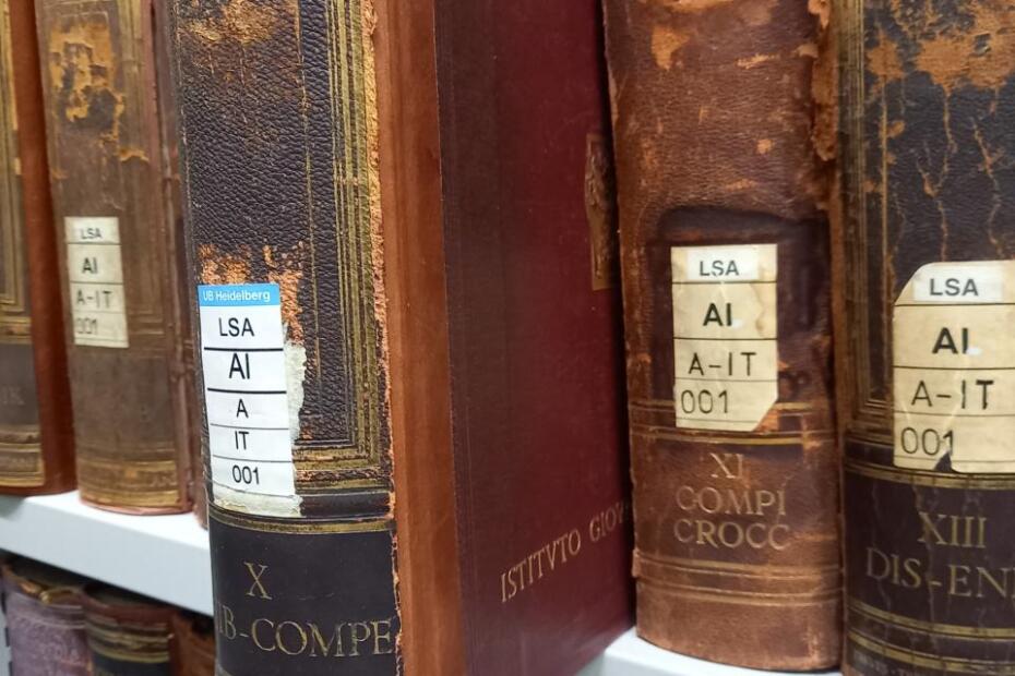 Antiquarische Bücher in Ledereinband.
